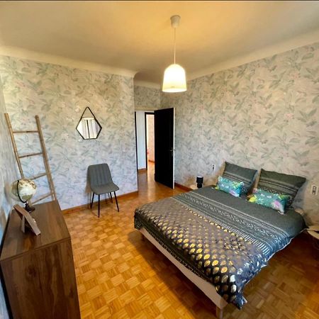Tres Grand Appartement A 10 Min A Pied Du Centre Castres  Exteriör bild