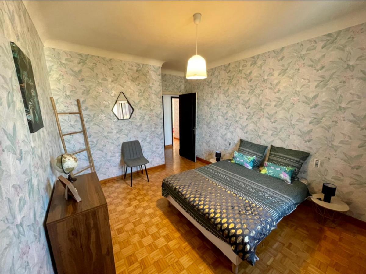Tres Grand Appartement A 10 Min A Pied Du Centre Castres  Exteriör bild