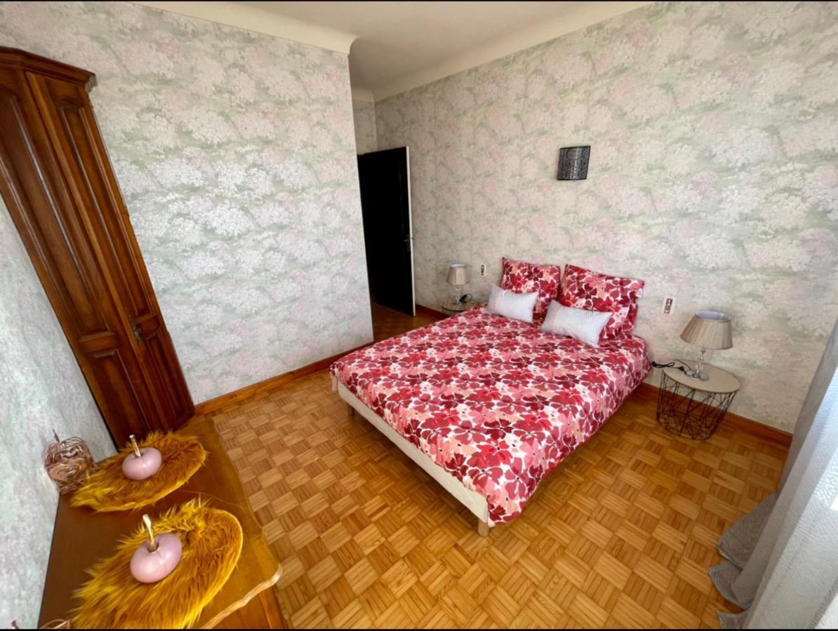 Tres Grand Appartement A 10 Min A Pied Du Centre Castres  Exteriör bild